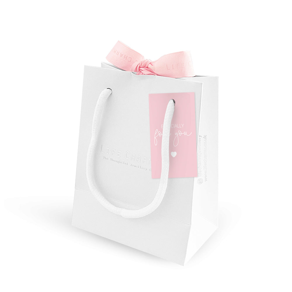 Luxury Gift Bag