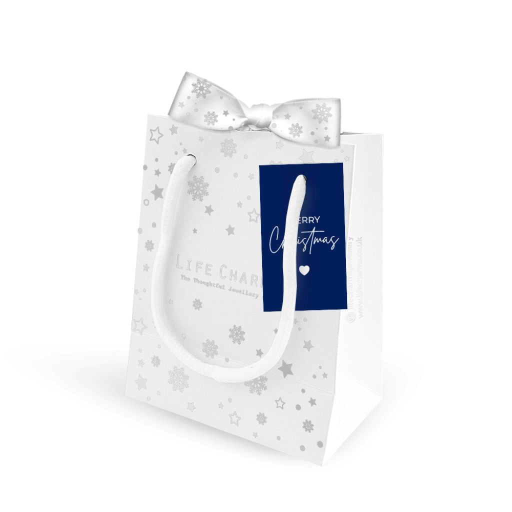 Luxury Christmas Gift Bag