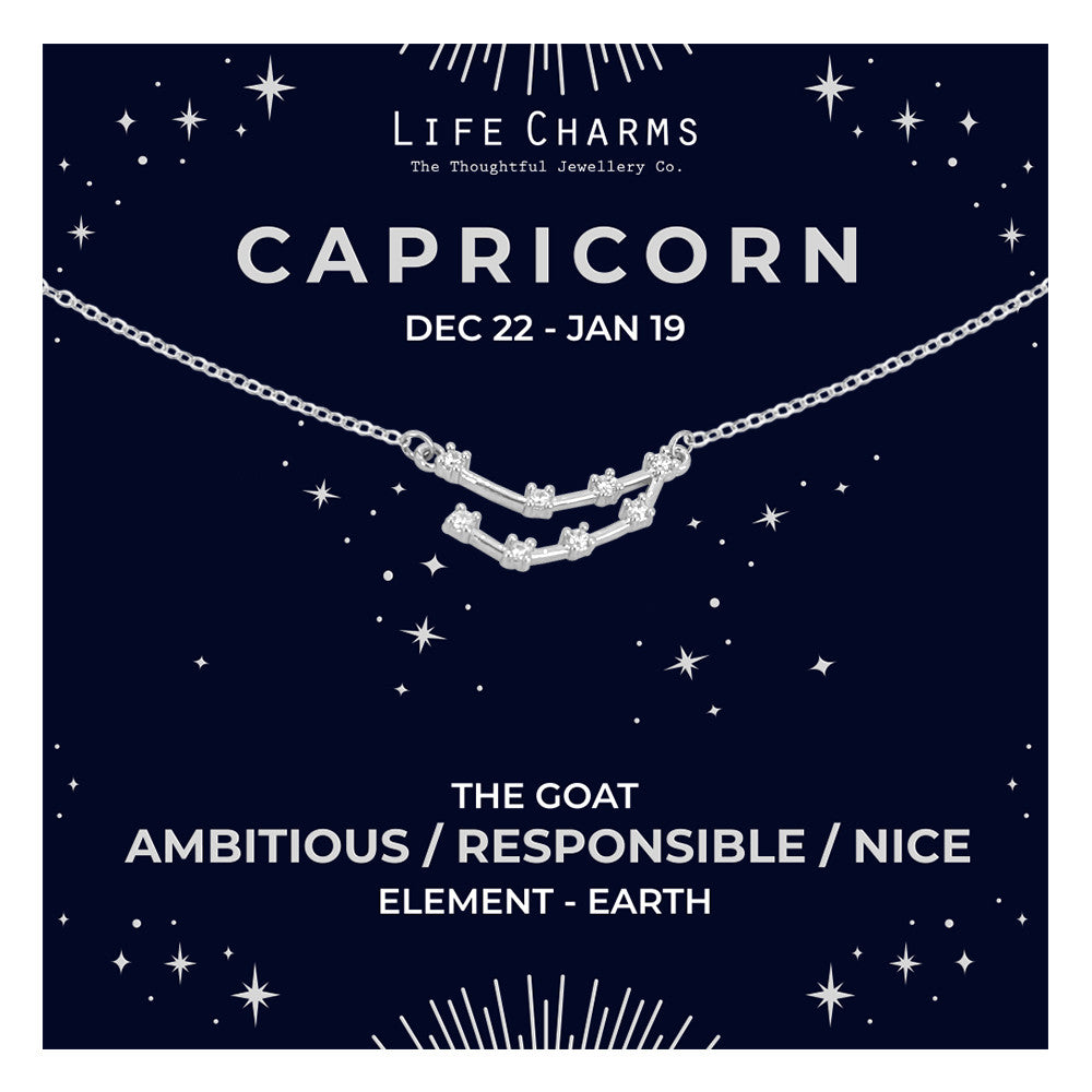 Capricorn  Silver Zodiac Constellation Necklace
