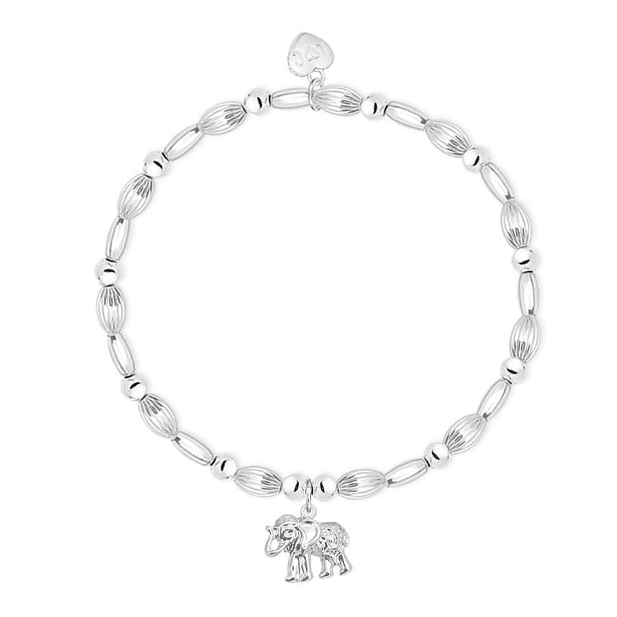 Talisman Elephant