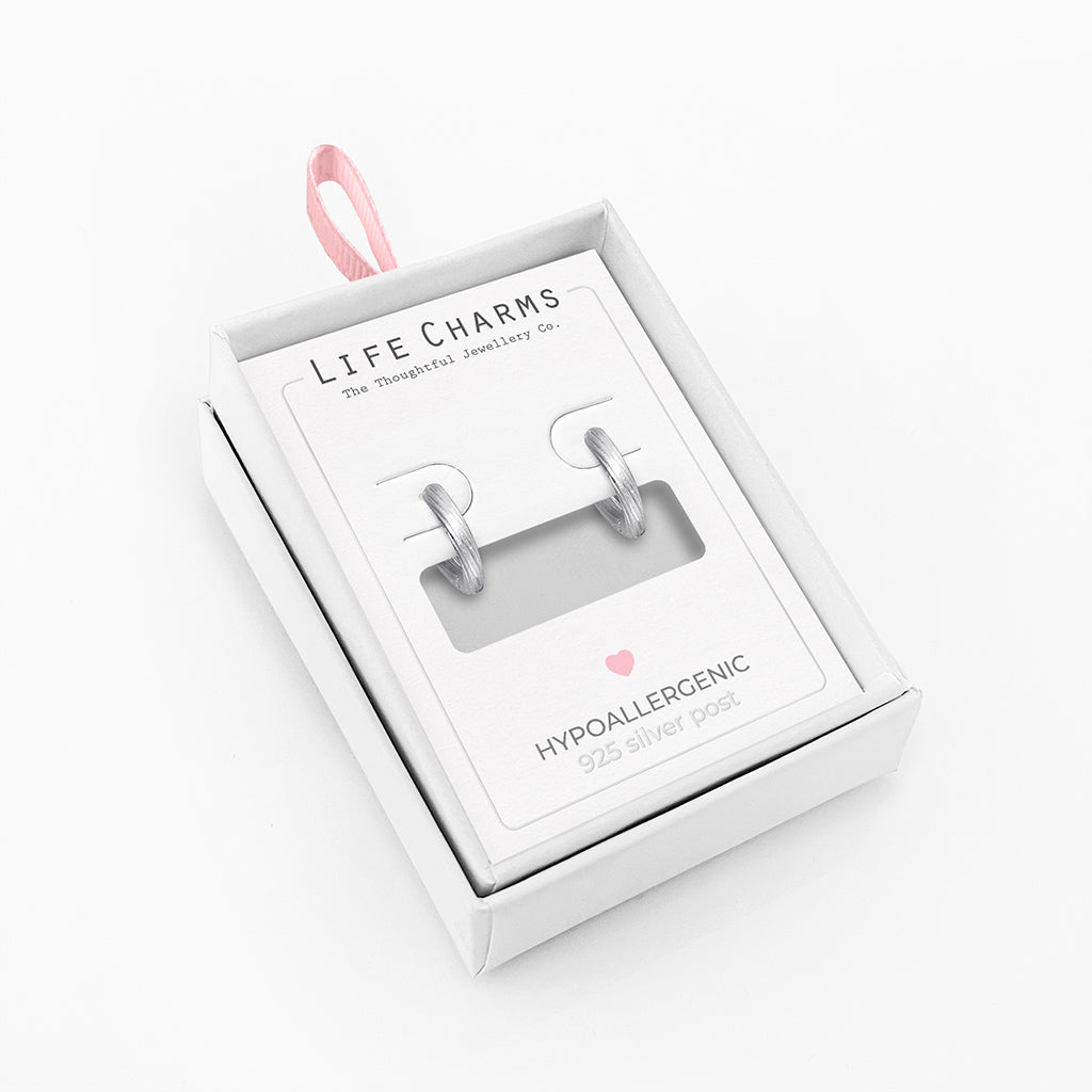 Small twisted hoop earrings in silver