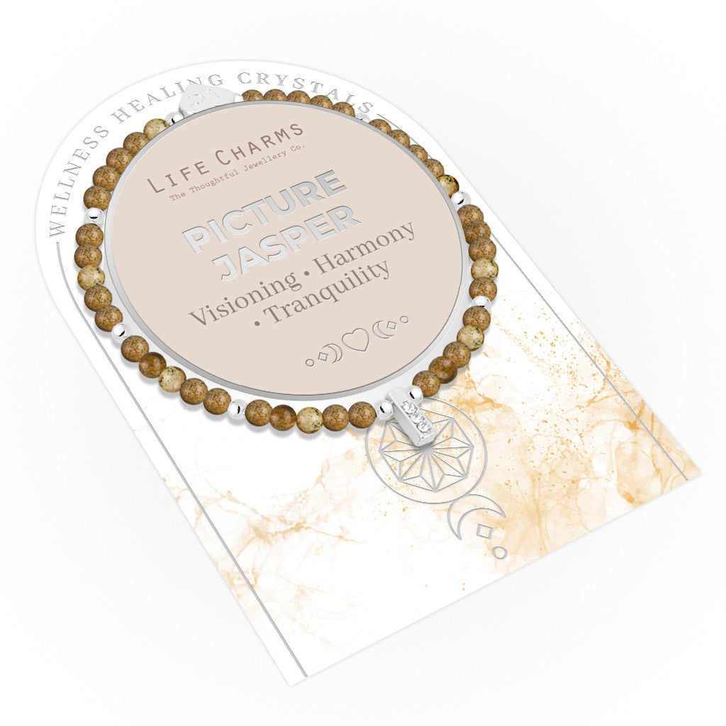Picture Jasper &amp; silver beads healing crystals bracelet