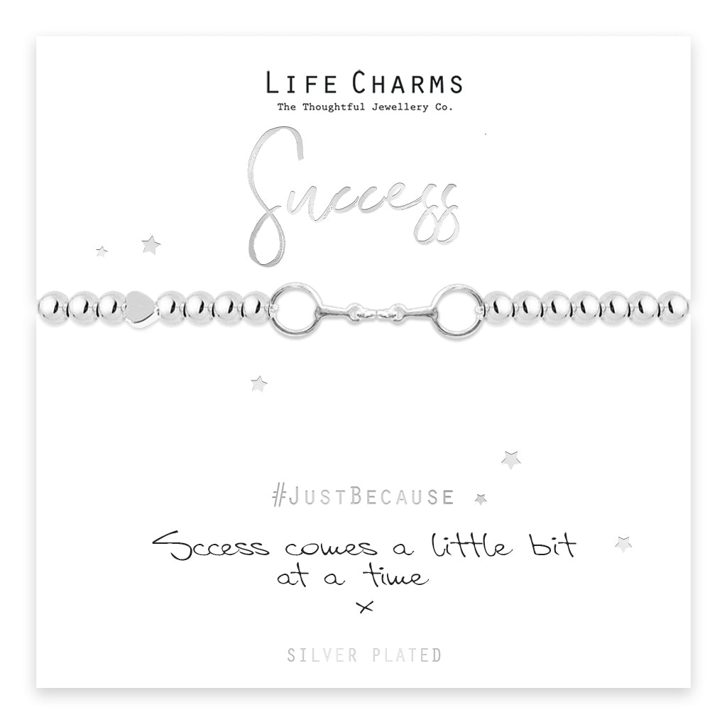 Success Comes A Little Bit At A Time