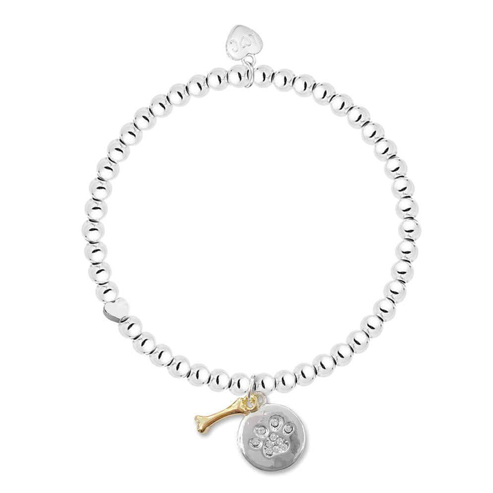 Dog Bracelet