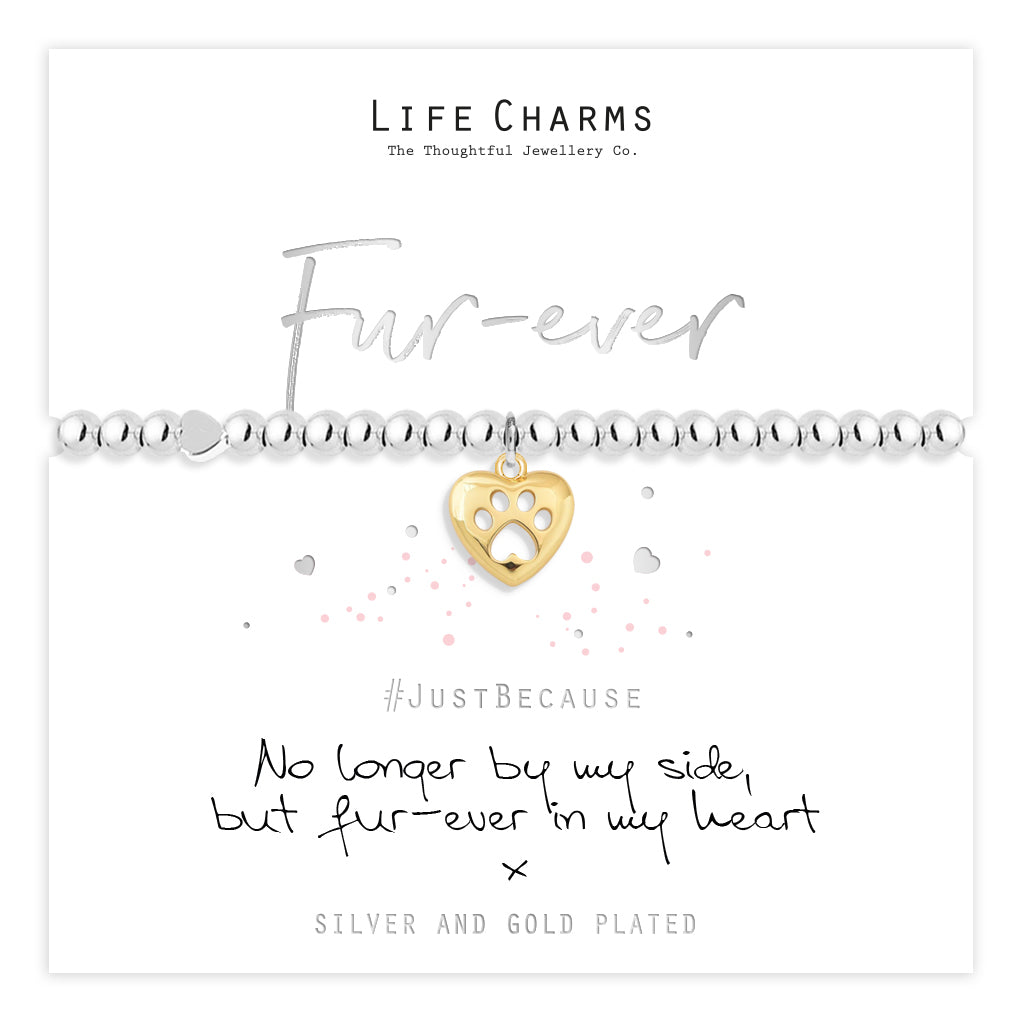 Fur-ever love charm bracelet