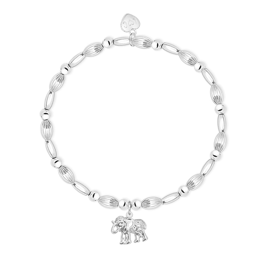 Talisman Elephant