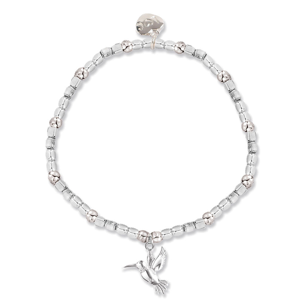 Talisman Hummingbird