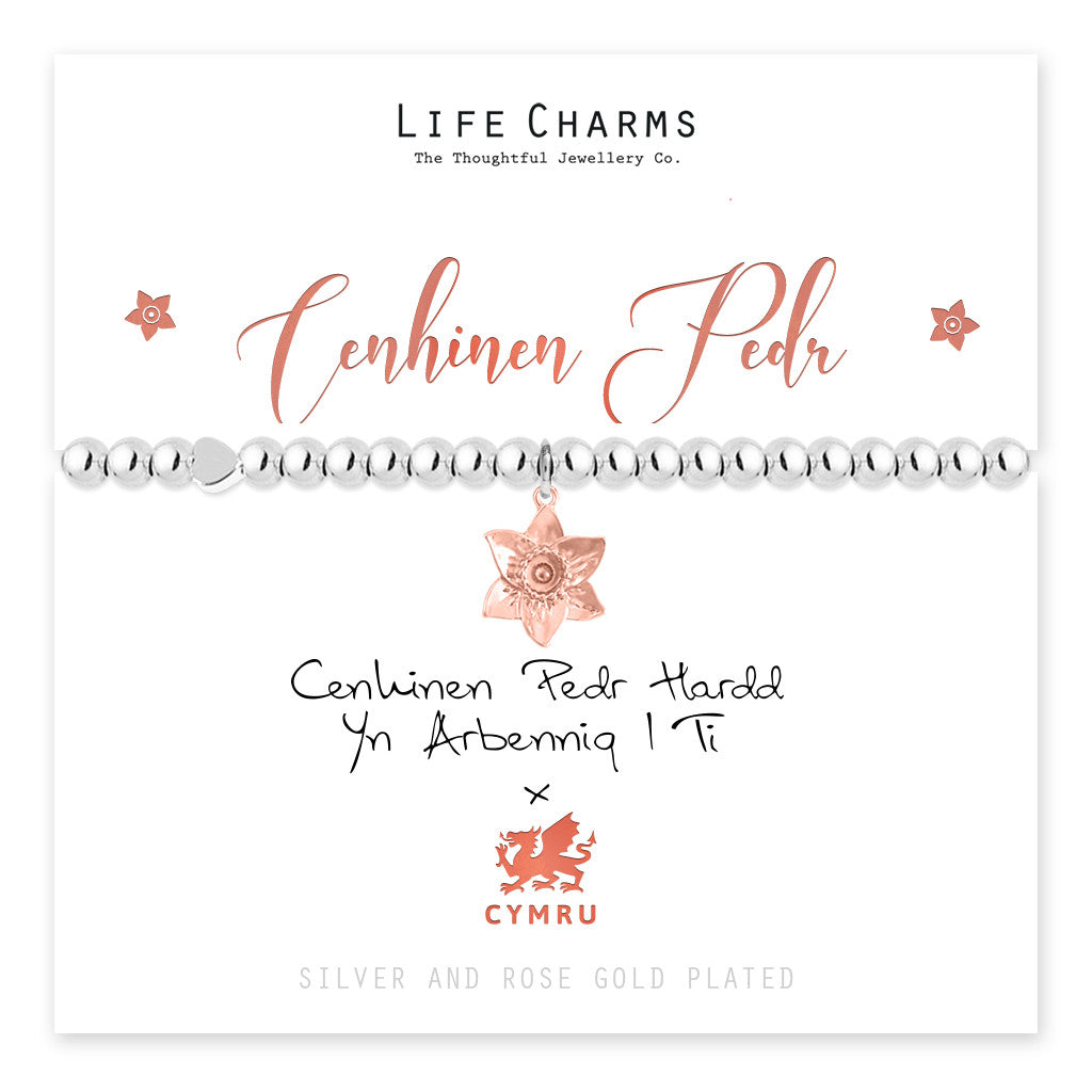 Welsh - Cennin Pedr - Daffodil