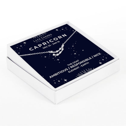 Capricorn  Silver Zodiac Constellation Necklace
