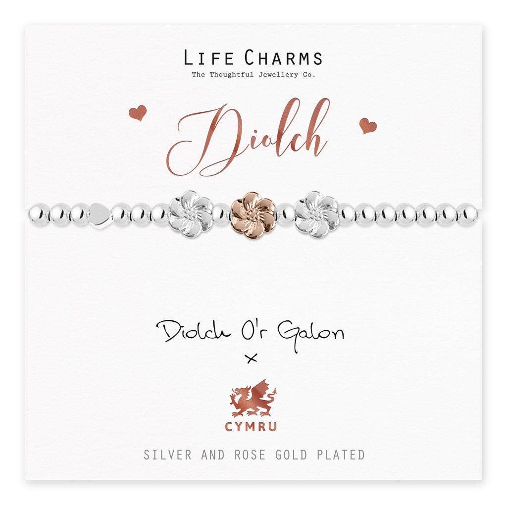 Welsh - Diolch - Thank You