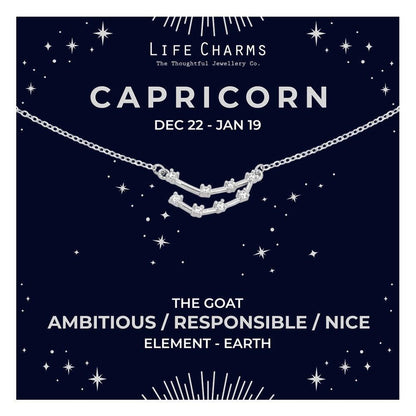 Capricorn  Silver Zodiac Constellation Necklace